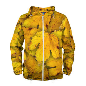 Мужская ветровка 3D с принтом Жёлтые листья , 100% полиэстер | подол и капюшон оформлены резинкой с фиксаторами, два кармана без застежек по бокам, один потайной карман на груди | жёлтый | золотой | клён | красота | листва | листья | наряд | осень | осина | покров | природа