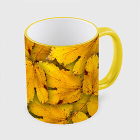Кружка 3D с принтом Жёлтые листья , керамика | ёмкость 330 мл | жёлтый | золотой | клён | красота | листва | листья | наряд | осень | осина | покров | природа
