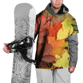 Накидка на куртку 3D с принтом Осенние листья , 100% полиэстер |  | жёлтый | красный | листва | оранжевый | осень