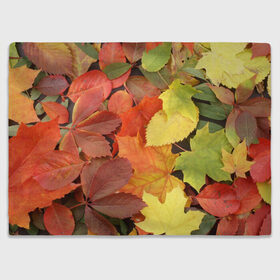 Плед 3D с принтом Осенние листья , 100% полиэстер | закругленные углы, все края обработаны. Ткань не мнется и не растягивается | жёлтый | красный | листва | оранжевый | осень