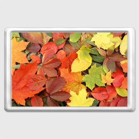 Магнит 45*70 с принтом Осенние листья , Пластик | Размер: 78*52 мм; Размер печати: 70*45 | жёлтый | красный | листва | оранжевый | осень