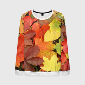 Мужской свитшот 3D с принтом Осенние листья , 100% полиэстер с мягким внутренним слоем | круглый вырез горловины, мягкая резинка на манжетах и поясе, свободная посадка по фигуре | жёлтый | красный | листва | оранжевый | осень