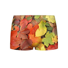 Мужские трусы 3D с принтом Осенние листья , 50% хлопок, 50% полиэстер | классическая посадка, на поясе мягкая тканевая резинка | жёлтый | красный | листва | оранжевый | осень