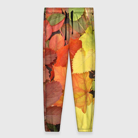 Женские брюки 3D с принтом Осенние листья , полиэстер 100% | прямой крой, два кармана без застежек по бокам, с мягкой трикотажной резинкой на поясе и по низу штанин. В поясе для дополнительного комфорта — широкие завязки | жёлтый | красный | листва | оранжевый | осень