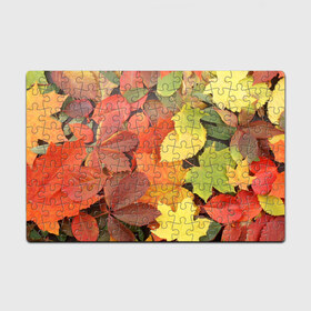Пазл магнитный 126 элементов с принтом Осенние листья , полимерный материал с магнитным слоем | 126 деталей, размер изделия —  180*270 мм | жёлтый | красный | листва | оранжевый | осень