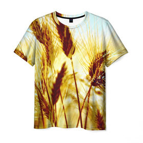 Мужская футболка 3D с принтом Колос , 100% полиэфир | прямой крой, круглый вырез горловины, длина до линии бедер | желтый | злаки | поле | пшеница