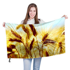 Флаг 3D с принтом Колос , 100% полиэстер | плотность ткани — 95 г/м2, размер — 67 х 109 см. Принт наносится с одной стороны | желтый | злаки | поле | пшеница