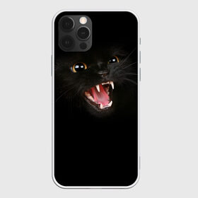 Чехол для iPhone 12 Pro Max с принтом Чёрный кот , Силикон |  | Тематика изображения на принте: киска | кот | кошка