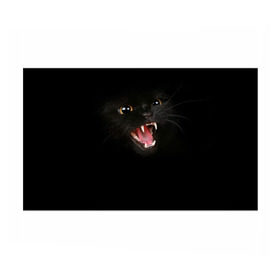 Бумага для упаковки 3D с принтом Чёрный кот , пластик и полированная сталь | круглая форма, металлическое крепление в виде кольца | Тематика изображения на принте: киска | кот | кошка