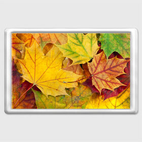 Магнит 45*70 с принтом Осенние листья , Пластик | Размер: 78*52 мм; Размер печати: 70*45 | жёлтый | зелёный | клён | листва