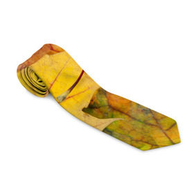 Галстук 3D с принтом Осенние листья , 100% полиэстер | Длина 148 см; Плотность 150-180 г/м2 | Тематика изображения на принте: жёлтый | зелёный | клён | листва