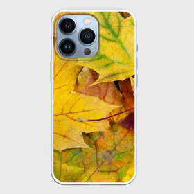 Чехол для iPhone 13 Pro с принтом Осенние листья ,  |  | Тематика изображения на принте: жёлтый | зелёный | клён | листва