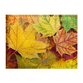 Обложка для студенческого билета с принтом Осенние листья , натуральная кожа | Размер: 11*8 см; Печать на всей внешней стороне | Тематика изображения на принте: жёлтый | зелёный | клён | листва