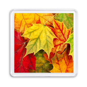 Магнит 55*55 с принтом Кленовые листья , Пластик | Размер: 65*65 мм; Размер печати: 55*55 мм | жёлтый | зелёный | красный | листва | оранжевый | осень