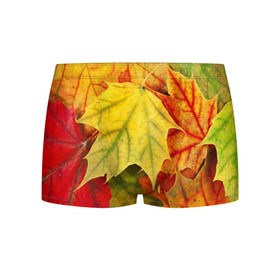 Мужские трусы 3D с принтом Кленовые листья , 50% хлопок, 50% полиэстер | классическая посадка, на поясе мягкая тканевая резинка | Тематика изображения на принте: жёлтый | зелёный | красный | листва | оранжевый | осень
