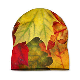 Шапка 3D с принтом Кленовые листья , 100% полиэстер | универсальный размер, печать по всей поверхности изделия | Тематика изображения на принте: жёлтый | зелёный | красный | листва | оранжевый | осень