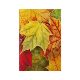 Обложка для паспорта матовая кожа с принтом Кленовые листья , натуральная матовая кожа | размер 19,3 х 13,7 см; прозрачные пластиковые крепления | Тематика изображения на принте: жёлтый | зелёный | красный | листва | оранжевый | осень