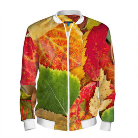 Мужской бомбер 3D с принтом Осень , 100% полиэстер | застегивается на молнию, по бокам два кармана без застежек, по низу бомбера и на воротнике - эластичная резинка | берёза | дары осени | жёлтый | зелёный | золотой | краски | красный | красота | листва | листья | наряд | оранжевый | осень | осина | покров | природа