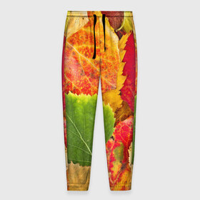 Мужские брюки 3D с принтом Осень , 100% полиэстер | манжеты по низу, эластичный пояс регулируется шнурком, по бокам два кармана без застежек, внутренняя часть кармана из мелкой сетки | берёза | дары осени | жёлтый | зелёный | золотой | краски | красный | красота | листва | листья | наряд | оранжевый | осень | осина | покров | природа