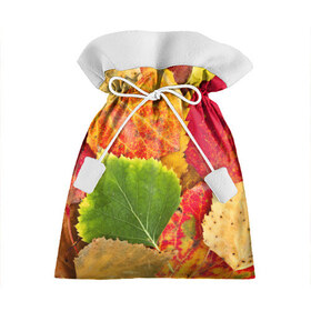 Подарочный 3D мешок с принтом Осень , 100% полиэстер | Размер: 29*39 см | Тематика изображения на принте: берёза | дары осени | жёлтый | зелёный | золотой | краски | красный | красота | листва | листья | наряд | оранжевый | осень | осина | покров | природа