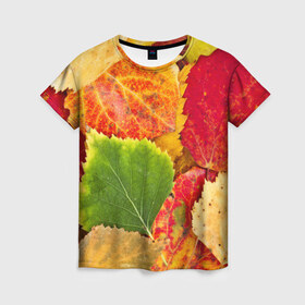 Женская футболка 3D с принтом Осень , 100% полиэфир ( синтетическое хлопкоподобное полотно) | прямой крой, круглый вырез горловины, длина до линии бедер | берёза | дары осени | жёлтый | зелёный | золотой | краски | красный | красота | листва | листья | наряд | оранжевый | осень | осина | покров | природа