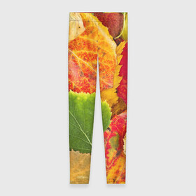 Леггинсы 3D с принтом Осень , 80% полиэстер, 20% эластан | Эластичный пояс, зауженные к низу, низкая посадка | берёза | дары осени | жёлтый | зелёный | золотой | краски | красный | красота | листва | листья | наряд | оранжевый | осень | осина | покров | природа