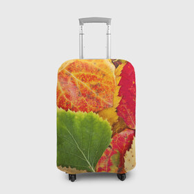 Чехол для чемодана 3D с принтом Осень , 86% полиэфир, 14% спандекс | двустороннее нанесение принта, прорези для ручек и колес | берёза | дары осени | жёлтый | зелёный | золотой | краски | красный | красота | листва | листья | наряд | оранжевый | осень | осина | покров | природа