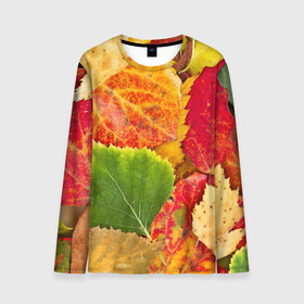 Мужской лонгслив 3D с принтом Осень , 100% полиэстер | длинные рукава, круглый вырез горловины, полуприлегающий силуэт | Тематика изображения на принте: берёза | дары осени | жёлтый | зелёный | золотой | краски | красный | красота | листва | листья | наряд | оранжевый | осень | осина | покров | природа