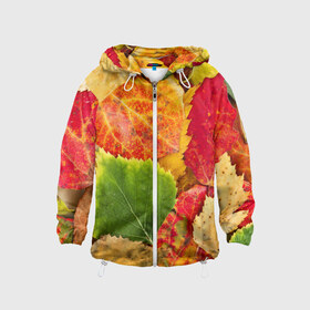 Детская ветровка 3D с принтом Осень , 100% полиэстер | подол и капюшон оформлены резинкой с фиксаторами, по бокам два кармана без застежек, один потайной карман на груди | берёза | дары осени | жёлтый | зелёный | золотой | краски | красный | красота | листва | листья | наряд | оранжевый | осень | осина | покров | природа