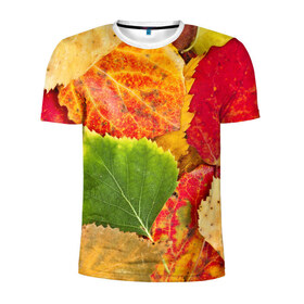 Мужская футболка 3D спортивная с принтом Осень , 100% полиэстер с улучшенными характеристиками | приталенный силуэт, круглая горловина, широкие плечи, сужается к линии бедра | берёза | дары осени | жёлтый | зелёный | золотой | краски | красный | красота | листва | листья | наряд | оранжевый | осень | осина | покров | природа