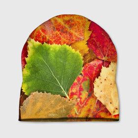 Шапка 3D с принтом Осень , 100% полиэстер | универсальный размер, печать по всей поверхности изделия | берёза | дары осени | жёлтый | зелёный | золотой | краски | красный | красота | листва | листья | наряд | оранжевый | осень | осина | покров | природа