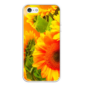 Чехол для iPhone 5/5S матовый с принтом Подсолнух , Силикон | Область печати: задняя сторона чехла, без боковых панелей | желтая | подсолнух | поле | природа | цветы