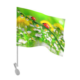 Флаг для автомобиля с принтом Макро , 100% полиэстер | Размер: 30*21 см | Тематика изображения на принте: божья коровка | насекомые | одуванчик | природа | цветы