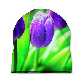 Шапка 3D с принтом Тюльпаны , 100% полиэстер | универсальный размер, печать по всей поверхности изделия | красота | поле | природа | тюльпаны | цветы
