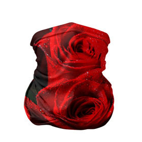 Бандана-труба 3D с принтом Розы , 100% полиэстер, ткань с особыми свойствами — Activecool | плотность 150‒180 г/м2; хорошо тянется, но сохраняет форму | красная | роза | роса | цветок