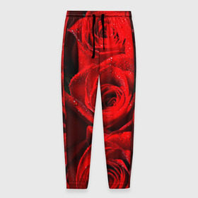 Мужские брюки 3D с принтом Розы , 100% полиэстер | манжеты по низу, эластичный пояс регулируется шнурком, по бокам два кармана без застежек, внутренняя часть кармана из мелкой сетки | Тематика изображения на принте: красная | роза | роса | цветок
