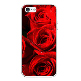 Чехол для iPhone 5/5S матовый с принтом Розы , Силикон | Область печати: задняя сторона чехла, без боковых панелей | красная | роза | роса | цветок