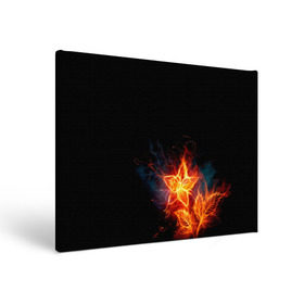 Холст прямоугольный с принтом Огненный цветок , 100% ПВХ |  | Тематика изображения на принте: огненный | огонь | пламя | цветок | цветы