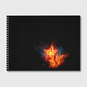 Альбом для рисования с принтом Огненный цветок , 100% бумага
 | матовая бумага, плотность 200 мг. | Тематика изображения на принте: огненный | огонь | пламя | цветок | цветы