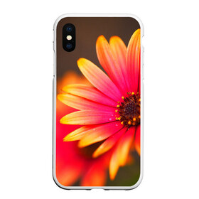 Чехол для iPhone XS Max матовый с принтом Цветы , Силикон | Область печати: задняя сторона чехла, без боковых панелей | 3д | красивая | природа | цветок