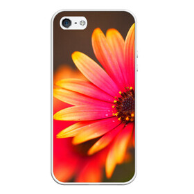 Чехол для iPhone 5/5S матовый с принтом Цветы , Силикон | Область печати: задняя сторона чехла, без боковых панелей | 3д | красивая | природа | цветок