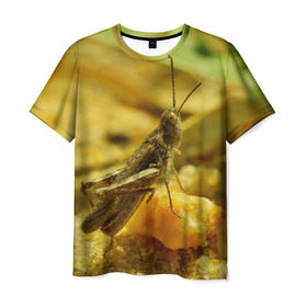 Мужская футболка 3D с принтом Кузнечик , 100% полиэфир | прямой крой, круглый вырез горловины, длина до линии бедер | кузнечик | насекомые