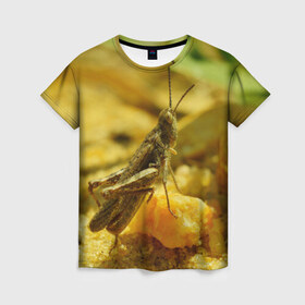Женская футболка 3D с принтом Кузнечик , 100% полиэфир ( синтетическое хлопкоподобное полотно) | прямой крой, круглый вырез горловины, длина до линии бедер | кузнечик | насекомые