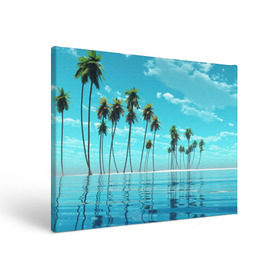 Холст прямоугольный с принтом Фиджи , 100% ПВХ |  | архипелаг | загар | каникулы | королевство | море | остров | отдых | отпуск | пальмы | песок | рай | солнце | тихий океан | туризм | фиджи