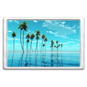 Магнит 45*70 с принтом Фиджи , Пластик | Размер: 78*52 мм; Размер печати: 70*45 | архипелаг | загар | каникулы | королевство | море | остров | отдых | отпуск | пальмы | песок | рай | солнце | тихий океан | туризм | фиджи