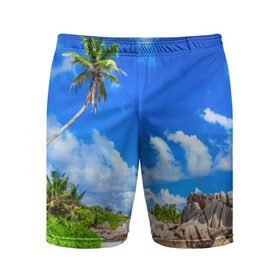 Мужские шорты 3D спортивные с принтом Сейшельские острова ,  |  | Тематика изображения на принте: seychelles | восточная африка | индийский океан | каникулы | море | островное государство | отдых | отпуск | пальмы | песок | пляж | приключение | путешествие | рай | сейшелы | сейшельские острова | туризм
