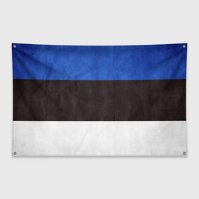 Флаг-баннер с принтом Эстония , 100% полиэстер | размер 67 х 109 см, плотность ткани — 95 г/м2; по краям флага есть четыре люверса для крепления | страна | эстония | эстонская республика