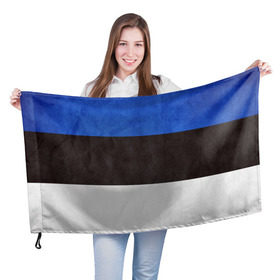 Флаг 3D с принтом Эстония , 100% полиэстер | плотность ткани — 95 г/м2, размер — 67 х 109 см. Принт наносится с одной стороны | страна | эстония | эстонская республика