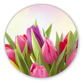 Коврик круглый с принтом Тюльпаны , резина и полиэстер | круглая форма, изображение наносится на всю лицевую часть | Тематика изображения на принте: 8 марта | аромат | букет | вазон | великолепие | дача | девушки | женщины | краски | красота | куст | лужайка | милые цветы | огород | палитра | прелесть | радуга | растение | тюльпаны