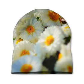 Шапка 3D с принтом Хризантемы , 100% полиэстер | универсальный размер, печать по всей поверхности изделия | белая | букет | красота | хризантема | цветок